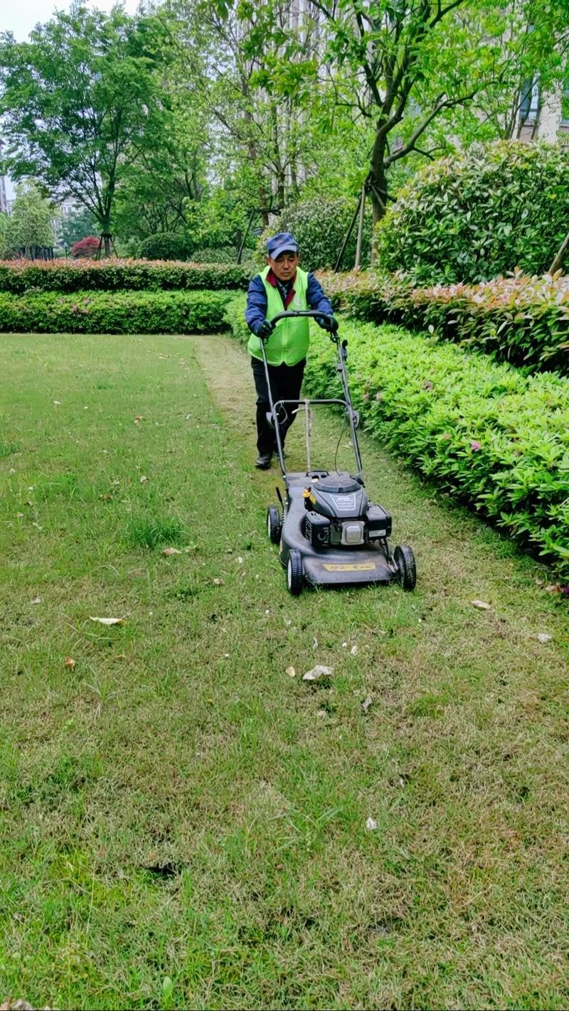 努力守护园林每一处绿色.绿植草坪修剪用行动描绘佳景 7
